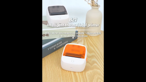 AiYin B21 เครื่องพิมพ์ฉลากอาหาร วันที่ผลิต ราคา บาร์โค้ด ป้ายเสื้อผ้า ป้ายราคาซูเปอร์มาร์เก็ต เครื่องปริ้น ขนาดพกพา