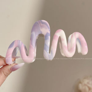 PINK EMPRESS | Large Hair Claw Clip Gradation Color Hair Accessory