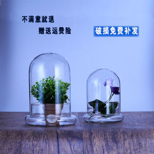 Modern Simplicity Glass Bell Jar Succulent Plant Terrarium Moist Environment Preservation for Home Desktop Decoration