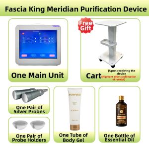 PURFVEB | Ultrasound High-Power Therapy Machine