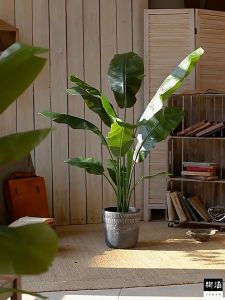 Bird of Paradise Perfect Potted Artificial Plant for Indoor Outdoor Home Office Garden Modern Decor Housewarming Gift