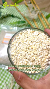 Greenola Organic White Adlai 250G | 500G | 1kg Wholesale