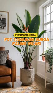 POT BUNGA TANAMAN PLASTIK LOVENIA MADO 27 PUTIH + TATAKAN PUTIH