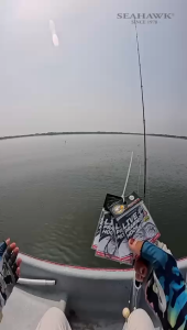 SEAHAWK LIVE PRAWN HOOK FISHING JAPAN MATERIAL