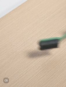 SINGLE/ DOUBLE  HEAD SHOE BRUSH