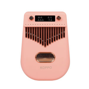 Limba Thumb Piano Alloy Built In lithium Battery Self Amplified Speaker Bluetooth Function Musical Instruments With Accessory