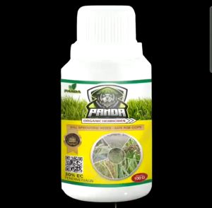 BELI 3 GRATIS 1 KILL GRASS PANDA RAJA PEMBUNUH GULMA PEMBASMI RUMPUT