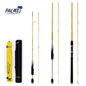 Travel Friendly Telescopic Spinning Rod