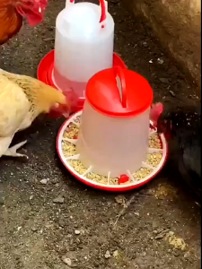 2.5kg/2.5L Chicken Water Tank Drinking Water Kettle Water Bucket For Chicks Pigeon Automatic Water Dispenser Chicken Water Kettle Chicken And Poultry Breeding Feed Dispenser With Handle Water Dispenser