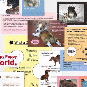 Cute & Trendy Dog Theme Stickers