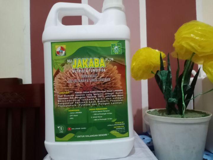 Jinsiy olatni boshini opish