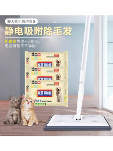 Lawn Care Wooden Bear Flat Mop Lazy Persons No-Hand-Wash Disposable Hair Absorption Pet Hair Removal Mop for Living Room