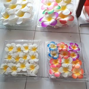 1box Jepit Rambut Bunga kamboja spon Bali