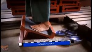 เก้าอี้มหัศจรรย์คุณตาแสวง  รุ่นมาตรฐาน5สี+เเถมฟรีคู่มือ! รับน้ำหนัก 100 กิโลกรัม ร้านต้นฉบับ ร้านบริษัท แก้ปวด รองช้ำ ยืดเอ็นร้อยหวาย 👉🏻กล่องพัสดุมี*ตราบริษัท*👈🏻เเท่นยืนคลายเส้น เก้าอี้ยืดเส้น เเท่นยืน