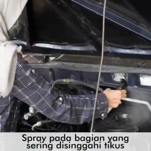 ARMOR ERADICATOR MUS PENGUSIR TIKUS I ANTI TIKUS AROMA WANGI BERSIH DARI TIKUS PADA KENDARAAN