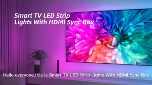 Holakay Smart WiFi Ambient Lighting HDMI 2.0 Sync Box TV Backlight LED Strip Lights Kit Voice Control with Alexa Google Assistant