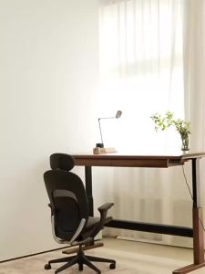 MUYISHENG | Electric Adjustable Desk