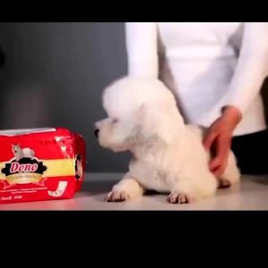 Pampers Anjing Kucing Popok Diapers Cat Dog Belly Belt Mens Diaper Monyet