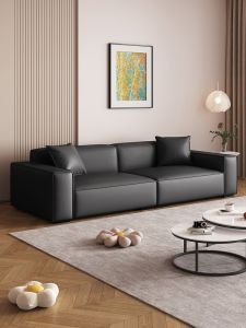 Minimalist Cat Scratch Resistant Sofa for Compact Living Room