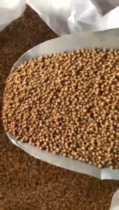 Repack Pakan Ikan Tawar Lele Ikan Mas Ikan Nila 781-2 Protein 31%