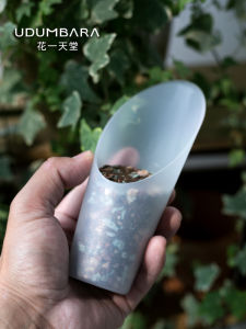 Flower Heaven Limited Transparent Succulent Bucket Shovel High Quality Gardening Tools Flower Planting Pot Pot Soil Shovel Cup Bucket