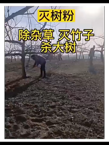 Remove the big tree killer tree roots and weeds killer strong penetration of weeds 500g