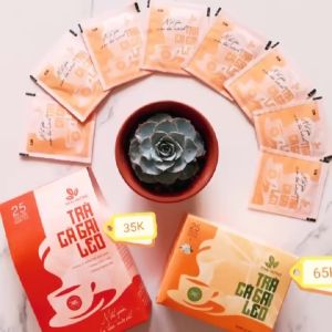 Trà Cà Gai Leo THÁI HƯNG loại Đặc biệt - Hộp 25 túi lọc x 3g - Thải độc gan xóa tan virus