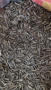 Natural Roaste Sunflower Seeds Enjoy the natural crunch of Original Sunflower Seeds (500g) 原味瓜子