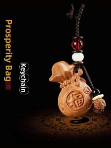 Lucky Protective Money Bag Keychain