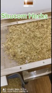 Senna Tea for Natural Laxative and Detoxification