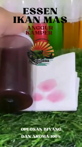 Essen Ikan Mas Aroma Anggur Kamper Umpan Mancing