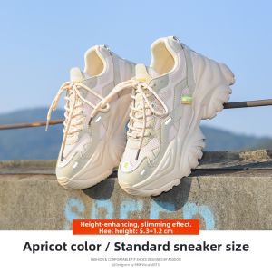 Agsdon | In-sole Height Increasing Dad Shoes
