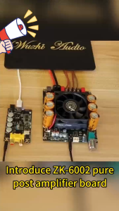 SKYSOUND ZK-6002 TPA3255 600W+600W Pure Post-stage Digital Power Amplifier Board High-Power Stereo