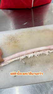 Rabbit Skin หนังกระต่ายอบแห้ง (Seasonal Product June 7 - July 31) Pet Project