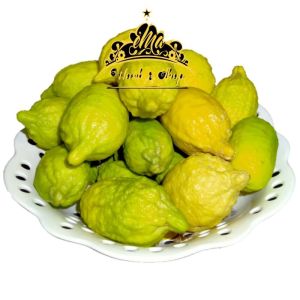 FRESH LEMON RM3.99 1 PC