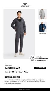 Bộ gió nam cao cấp Aristino AJS004W2 màu xám vải chống tĩnh điện