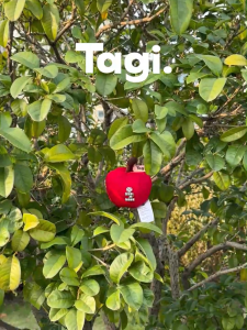 Tagi. Apple Pendant สีแดง พวงกุญแจ