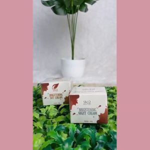 KRIM SIANG BRIGHTENING DAY SR12 / CREAM PEMUT1H WAJAH PREMIUM / MENCERAHKAN KULIT / KRIM HERBAL / KRIM KULIT BERMINYAK / Krim wajah original / premium / berkualitas / termurah / terbaik / bagus / saudagarsr12