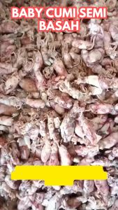 BABY CUMI REBUS ASIN 1 kg