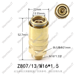 High Temperature Resistant Quick Connect Cooling Adapter Hasco Mold Temperature Controller Water And Oil Passing Compression Iron Fluorine Tube Converter Z807