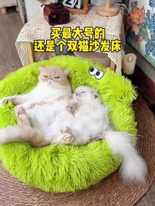 MAOGUANJIA | Giường Thú Cưng Bọc Ấm