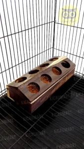 Kotak Kayu Anti Tumpah: Solusi Terbaik untuk Tempat Makan Burung Lovebird