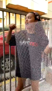 Garden Protection Net height 0.5M Easy Installation Plastic Mesh Balcony Stair Fence Protective