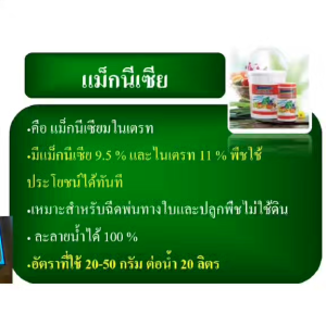 ปุ๋ย ปุ๋ยกิฟฟารีน ปุ๋ยทางใบ ฮอร์โมนทางใบ ปุ๋ยเกล็ด ปุ๋ยน้ำ ธาตุอาหารเสริม แมกนีเซียม กำมะถัน giffarine ละลายน้ำง่าย ไม่อุดตันหัวฉีด เพิ่มผลผลิตไว ของแท้ ส่งฟรี