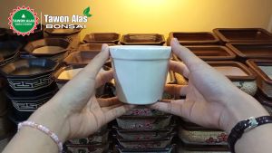 Pot Keramik Bonsai Bundar Mini Cantik