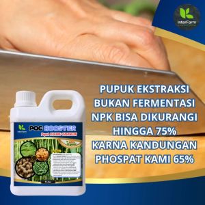 INTERFARM POC Booster - Pupuk Cair Organik Premium untuk Buah Kacang Panjang & Hama Tanaman