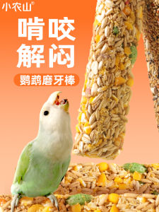 Parrot Teeth Grinding Stick Interactive Biting Toy Small Sun Conure Orange Peacock Pecking Chew Proof Bird Food Supplement