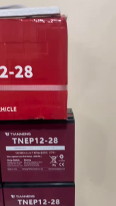 1PC 12v 28ah E-bike Battery: Romai Nnow Kenwei & Lucky Lion Kuda