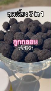 ชุดเลี้ยง 3 in 1 ขนาดจัมโบ้