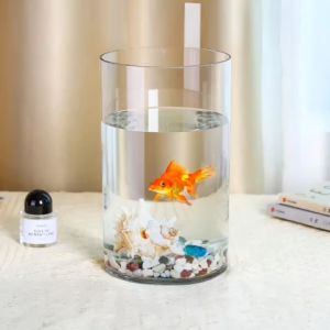Hồ Cá Bể Cá Thuỷ Tinh Trụ Tròn D20 x H30 cm Tặng Kèm Mô Hình Rong Giả Và Sỏi Trang Trí